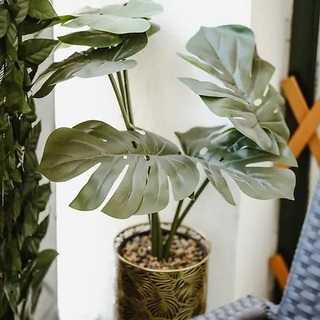 Appartement Elysium Volos