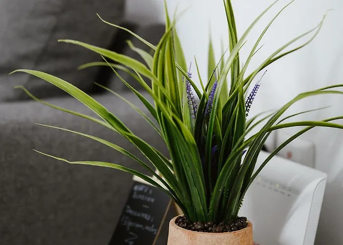 Elysium Lägenhet Volos