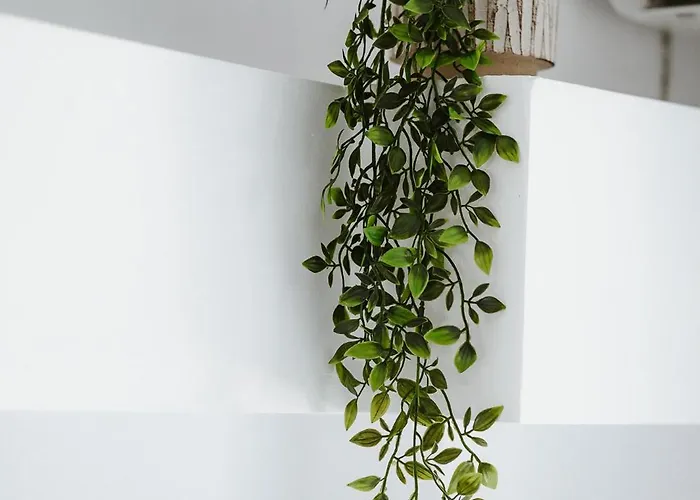 Lägenhet Elysium Volos