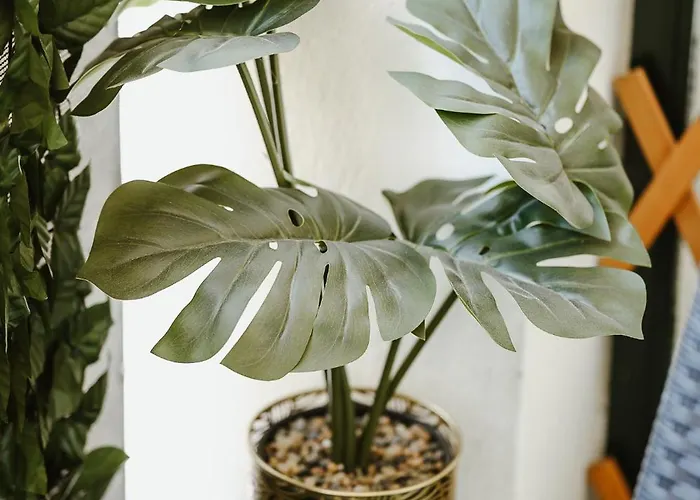 Lägenhet Elysium Volos