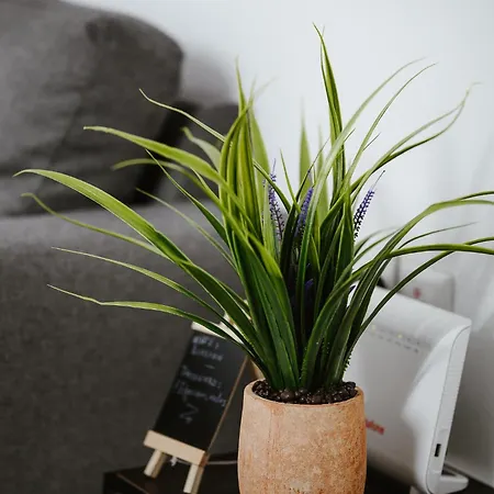 Elysium 아파트 볼로스