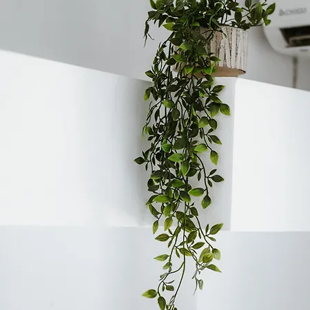 아파트 Elysium 볼로스